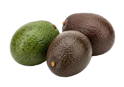 Imagen PNG para descargar